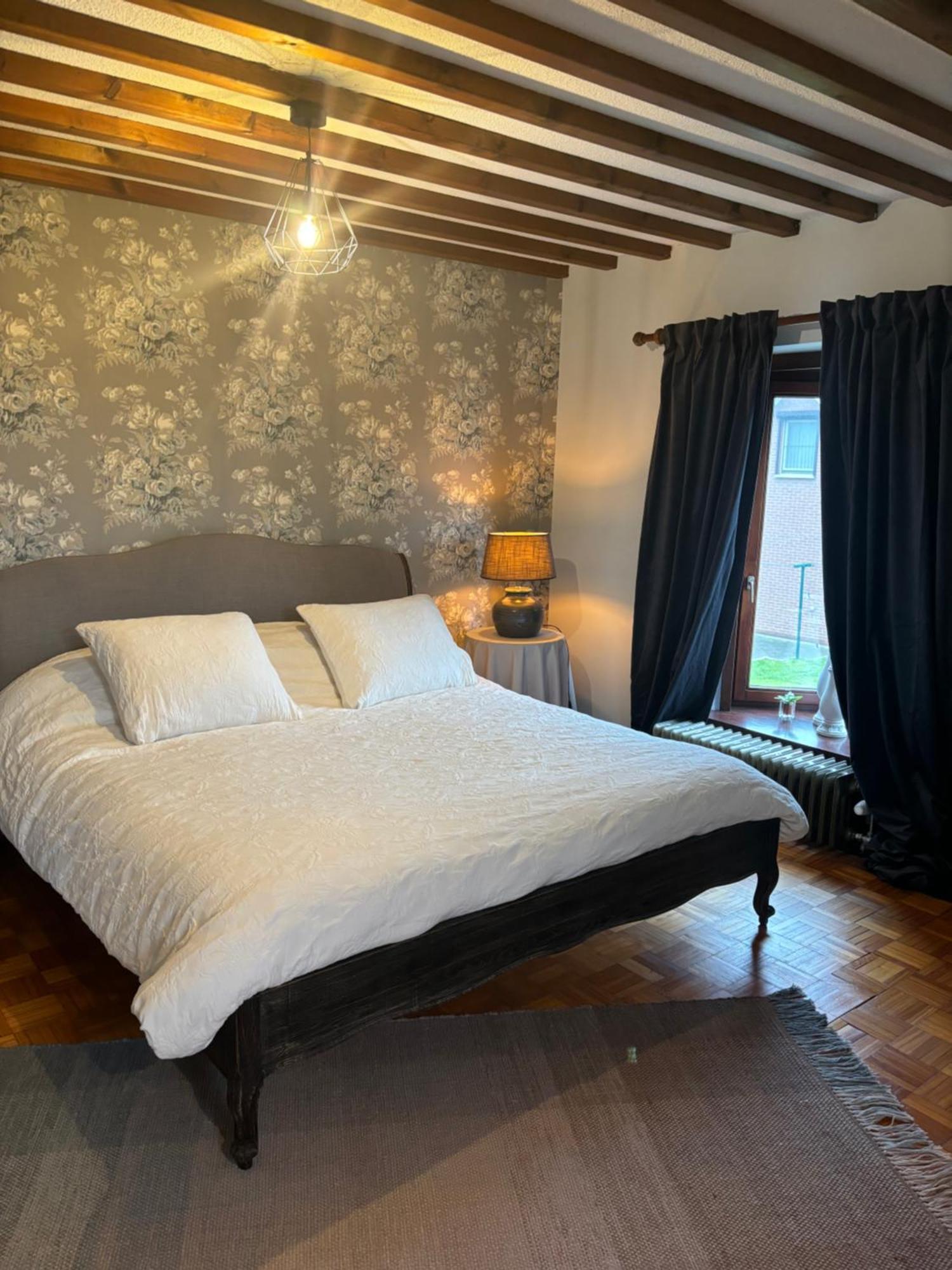 Sophia Rooms 14 Maasmechelen Zewnętrze zdjęcie